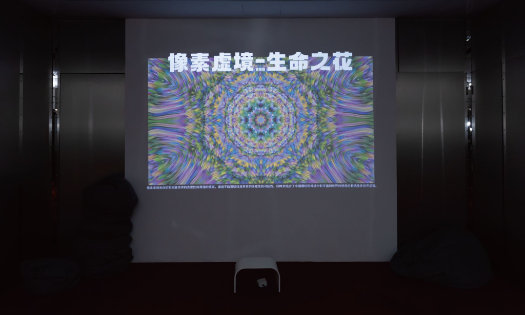 “數據景觀”下的虛幻與真實