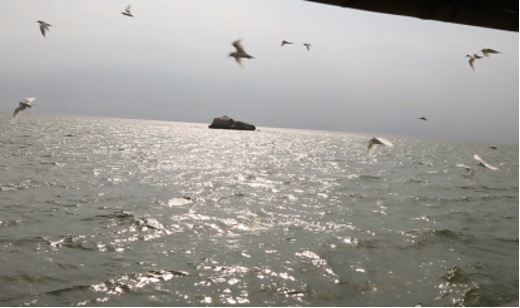 “語言之海”呈現在地語言文化