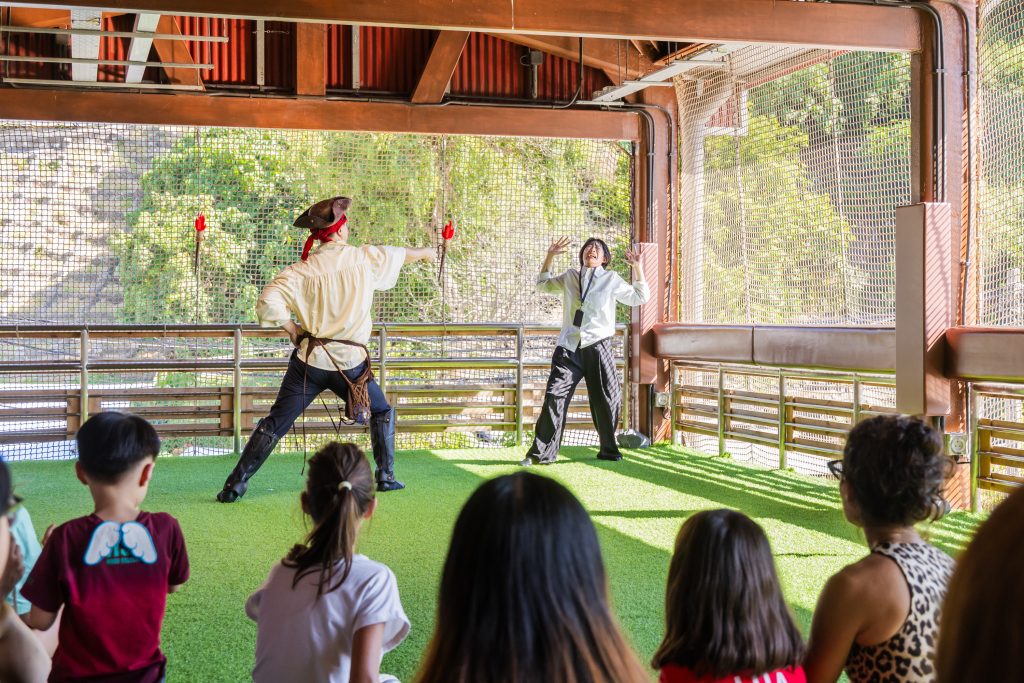 在荔枝碗中尋回童心