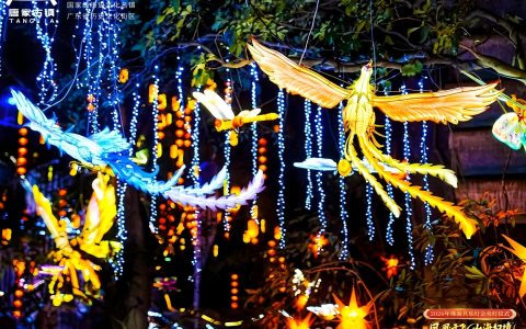 光敘山海：非遺彩燈點亮珠海百年園林