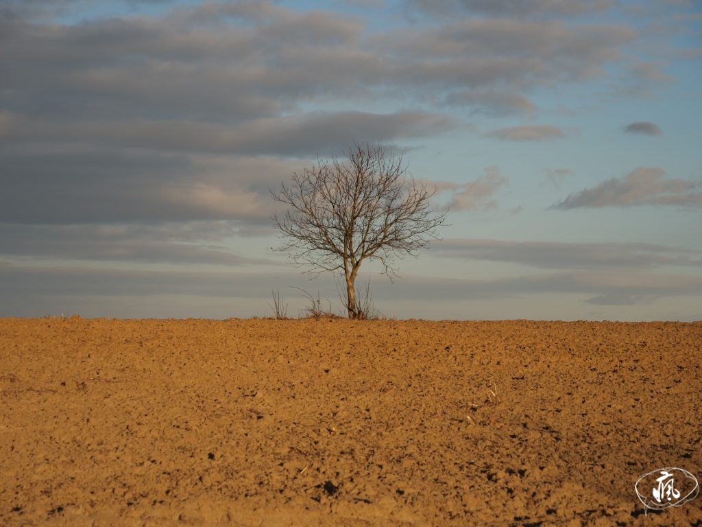 黑夜裡再返波蘭南部