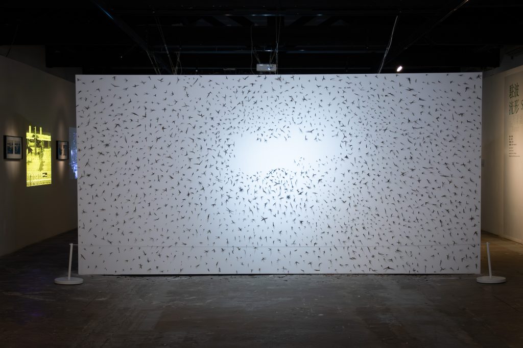 城市即空間：牛房倉庫的藝術深耕與未來