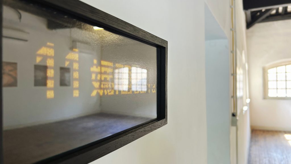 城市即空間：牛房倉庫的藝術深耕與未來