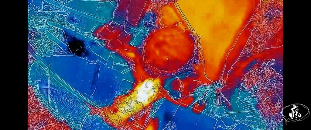 柏林影展觀後：昨日即明日