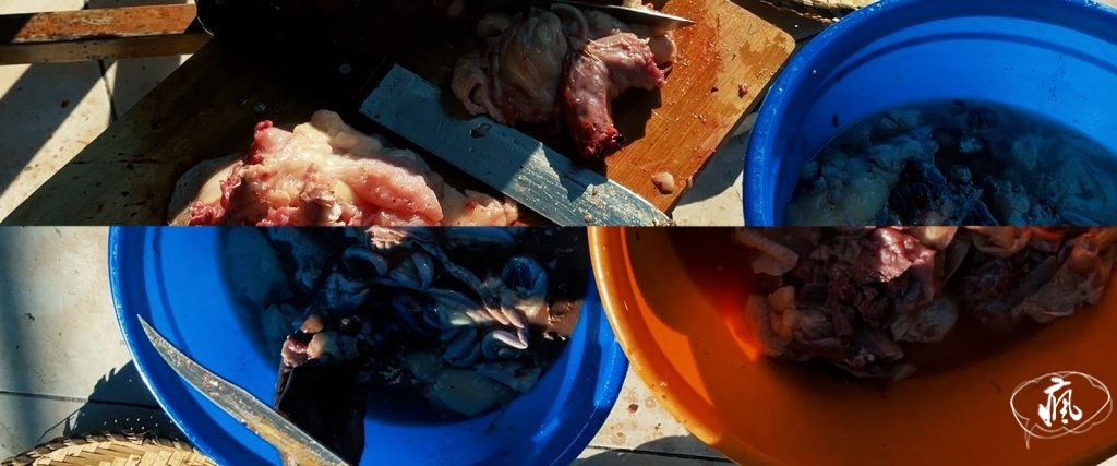 柏林影展觀後：昨日即明日