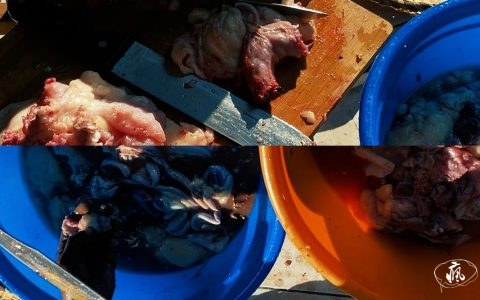 柏林影展觀後：昨日即明日